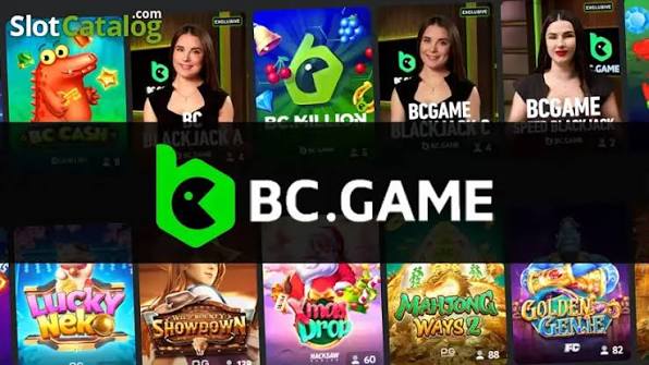 Understanding the BC App Verification Process A Complete Guide Understanding the BC App Verification Process A Complete Guide